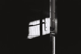 Stefan Guggenbichler .art