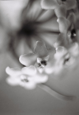 Stefan Guggenbichler .art