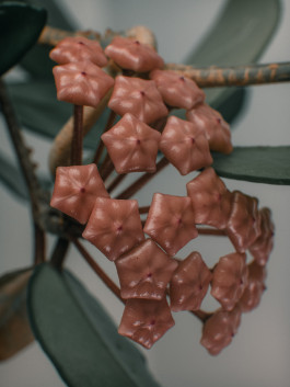 Stefan Guggenbichler .art