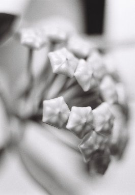 Stefan Guggenbichler .art