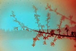 Stefan Guggenbichler .art