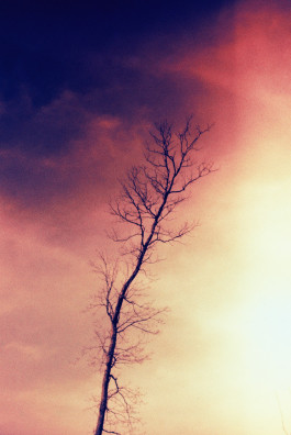 Stefan Guggenbichler .art