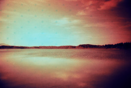 Stefan Guggenbichler .art