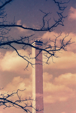 Stefan Guggenbichler .art