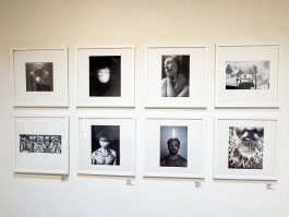 Stefan Guggenbichler .art