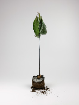 Stefan Guggenbichler .art