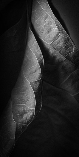 Stefan Guggenbichler .art