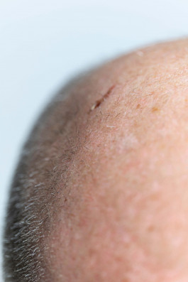 Stefan Guggenbichler .art