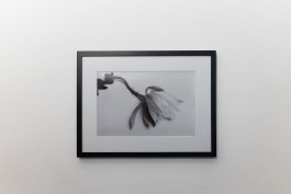 Stefan Guggenbichler .art