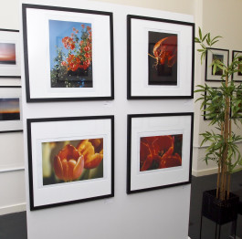 Stefan Guggenbichler .art