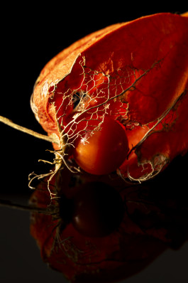 Stefan Guggenbichler .art