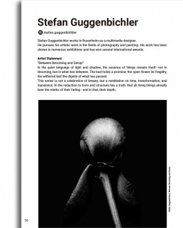 Stefan Guggenbichler .art