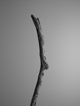 Stefan Guggenbichler .art