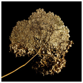 Stefan Guggenbichler .art