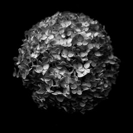 Stefan Guggenbichler .art