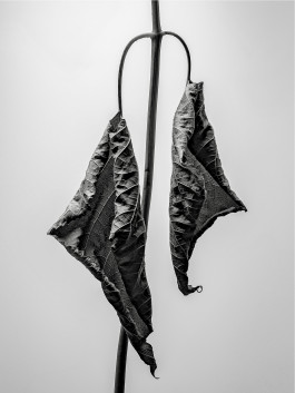 Stefan Guggenbichler .art