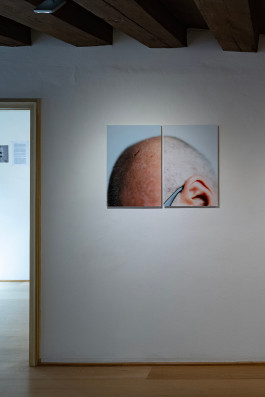 Stefan Guggenbichler .art