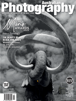 Stefan Guggenbichler .art