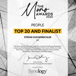 Stefan Guggenbichler .art