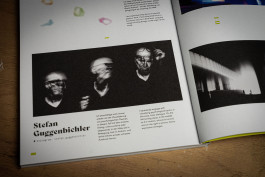 Stefan Guggenbichler .art