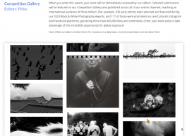 Stefan Guggenbichler .art