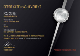 Stefan Guggenbichler .art