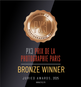 Stefan Guggenbichler .art