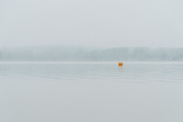 Stefan Guggenbichler  .art