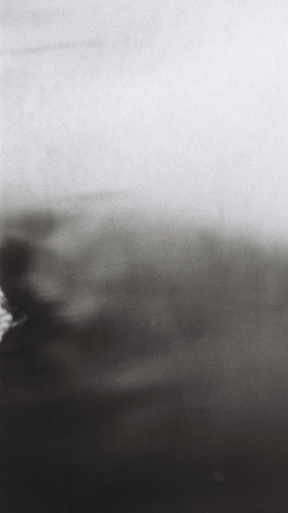 Stefan Guggenbichler  .art