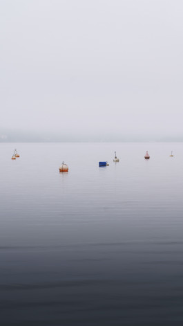 Stefan Guggenbichler  .art