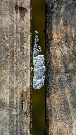 Stefan Guggenbichler  .art