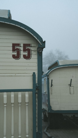 Stefan Guggenbichler  .art