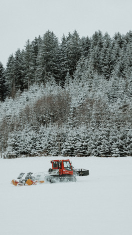 Stefan Guggenbichler  .art