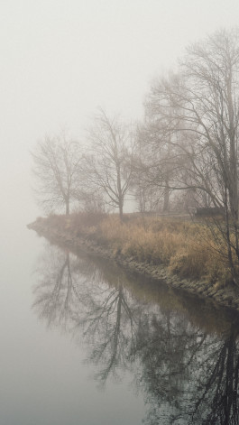 Stefan Guggenbichler  .art