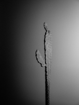 Stefan Guggenbichler  .art