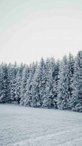 Stefan Guggenbichler  .art