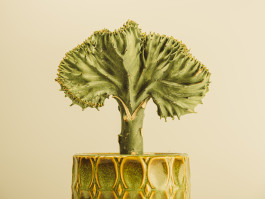 Stefan Guggenbichler  .art