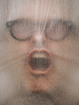 Stefan Guggenbichler  .art