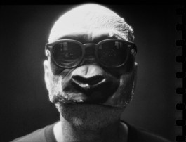 Stefan Guggenbichler  .art