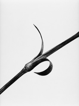 Stefan Guggenbichler  .art