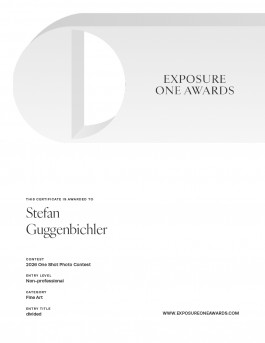 Stefan Guggenbichler  .art